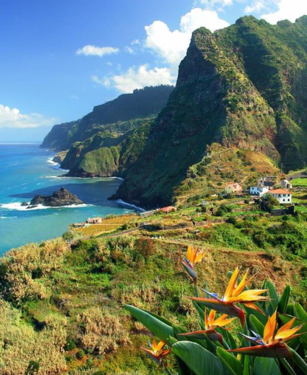 Apartmán Pana House Calheta  Exteriér fotografie