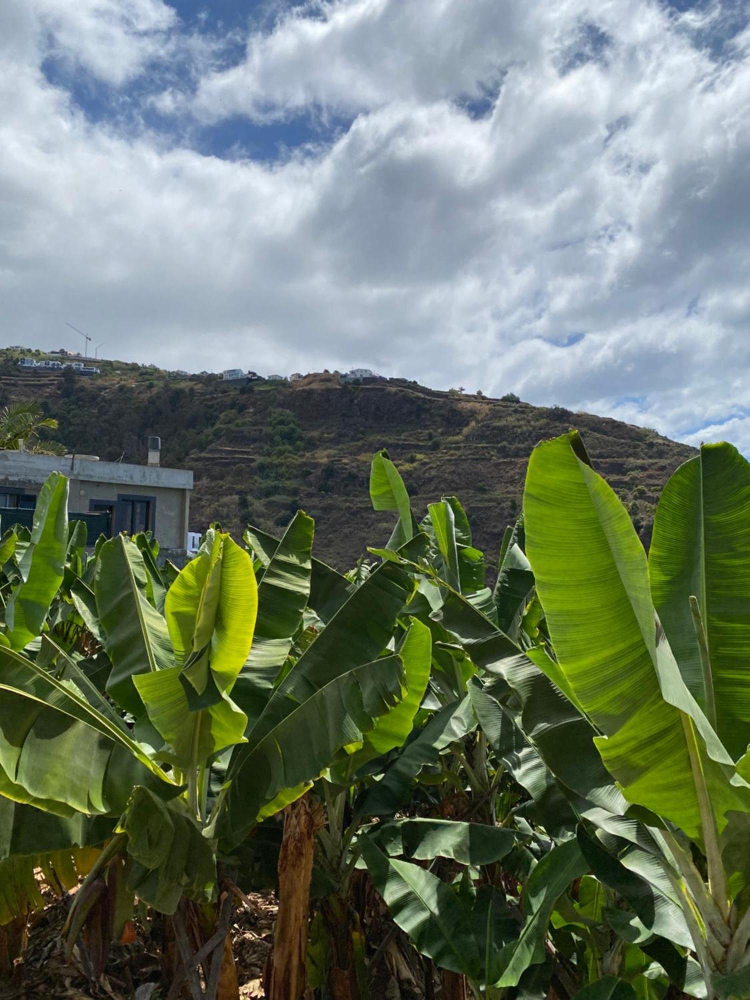 Apartmán Pana House Calheta  Exteriér fotografie