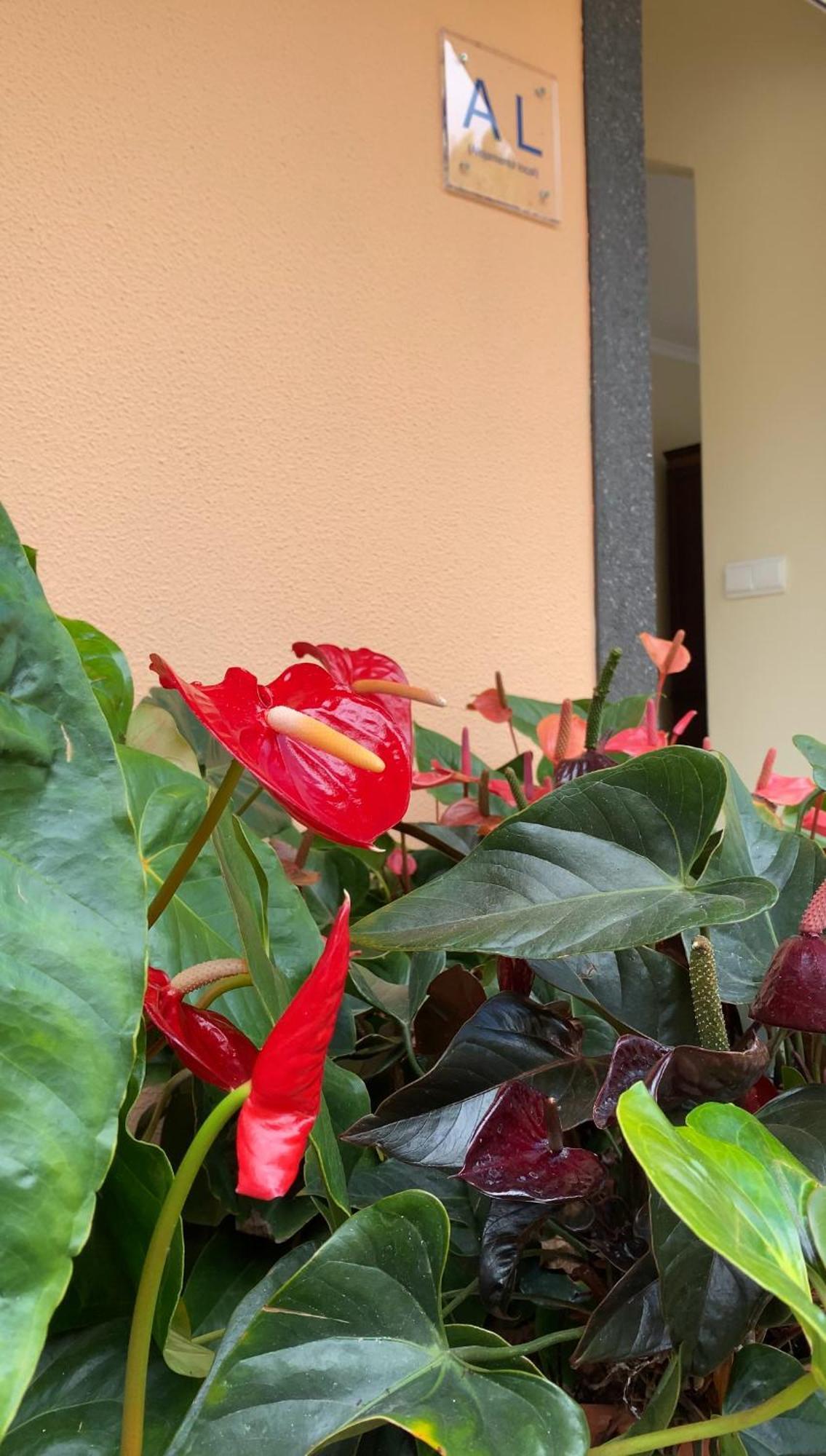 Apartmán Pana House Calheta  Exteriér fotografie